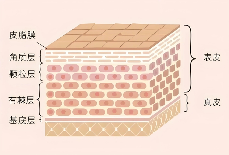 1773468620570158.jpg 101ea5d1041f756c867e78fa49977919.jpg